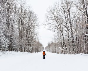 Walking in the Snow