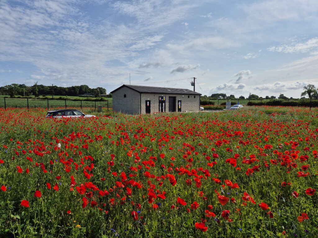 Coffey providing sustainable drainage at Saggart WWTP